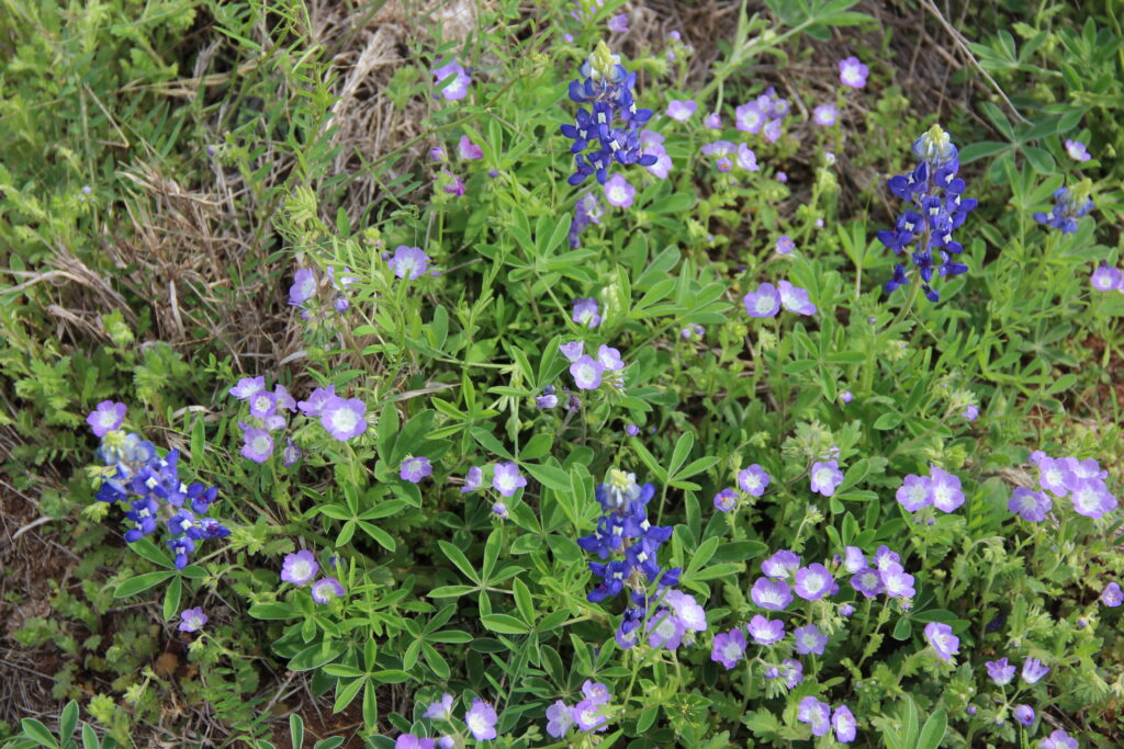 Photo by Melanie Huff