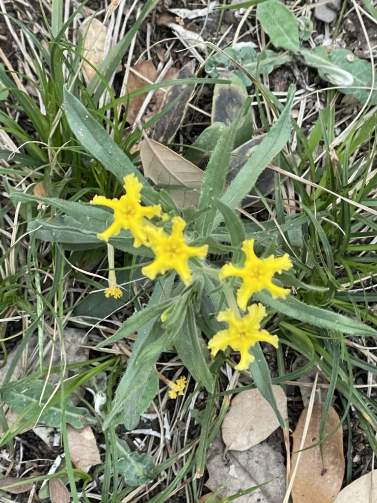 photo by Betty Saenz