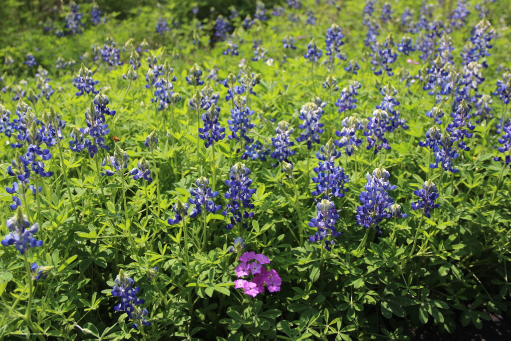 photo by Melanie Huff