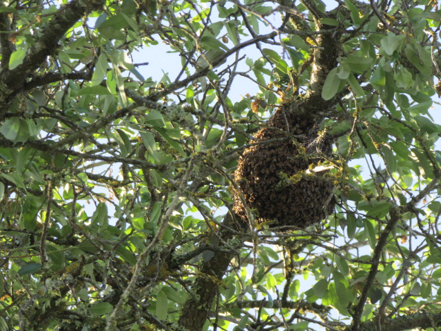 photo by Mary Newton