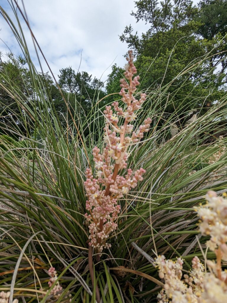 photo by Phillip Mitchell