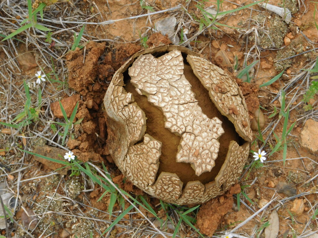 photo by Cassie Oberhaus