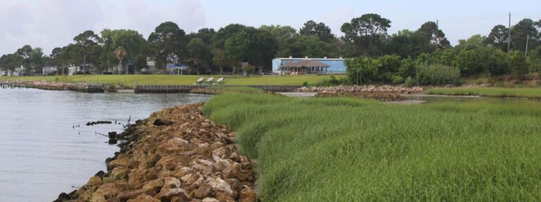 Living shoreline at Galveston Bay Foundation headquarters