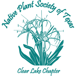 Clear Lake Chapter Logo