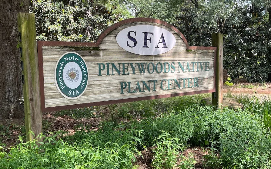 SFA Pineywoods Native Plant Center