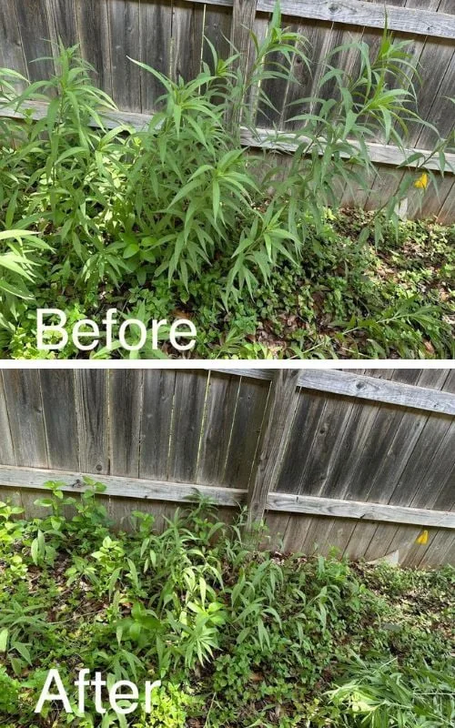 Photo by Drake White