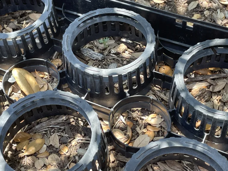 Protect Vulnerable Seedlings
