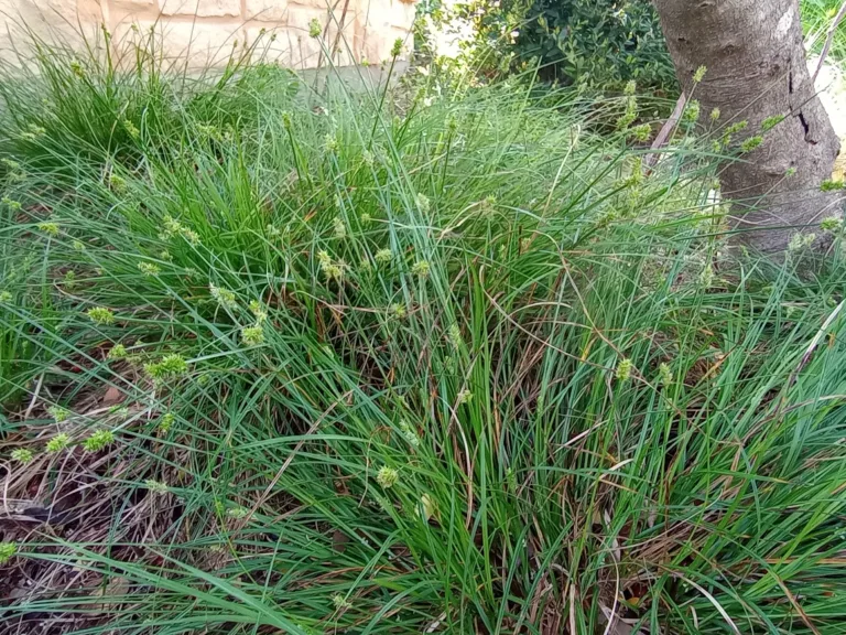 Photo Credit: Pam Peck