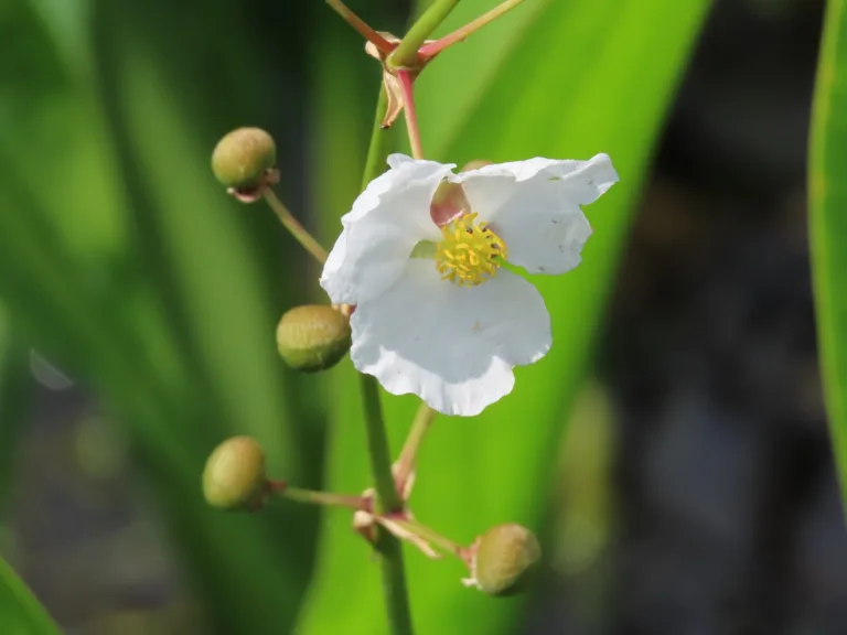 Photo Credit: Claire Sorenson