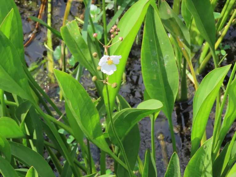 Photo Credit: Claire Sorenson