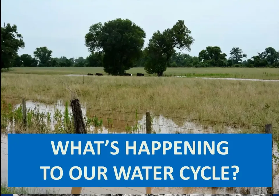 What's Happening to Our Water Cycle?