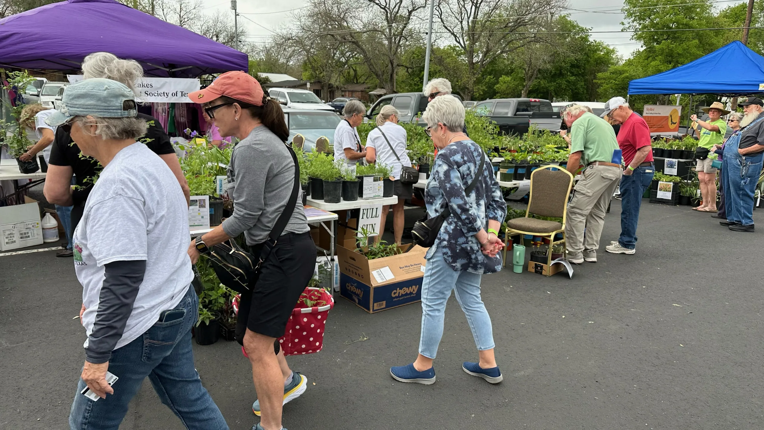 Great weather and many shoppers