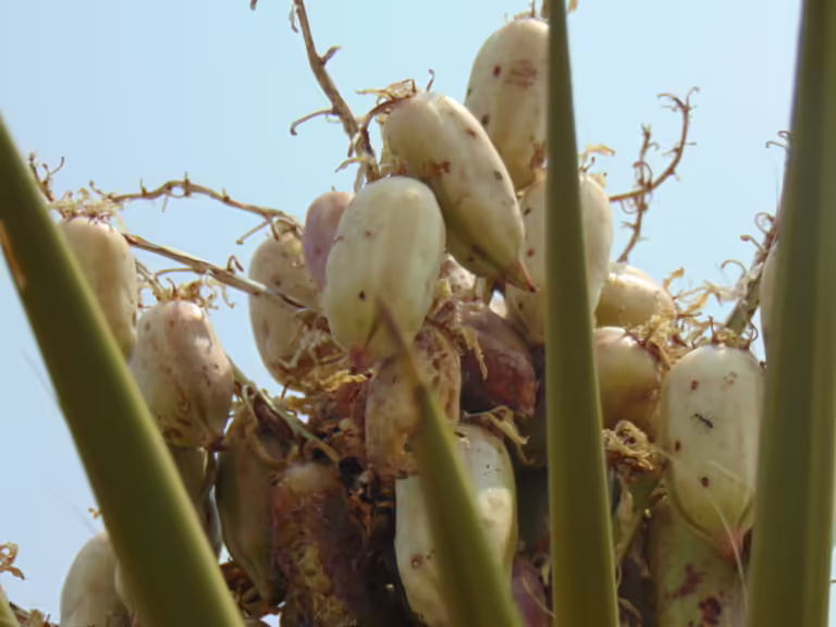 Photo Credit: Claire Sorenson