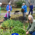 Volunteers weeding a garden bed in the winter