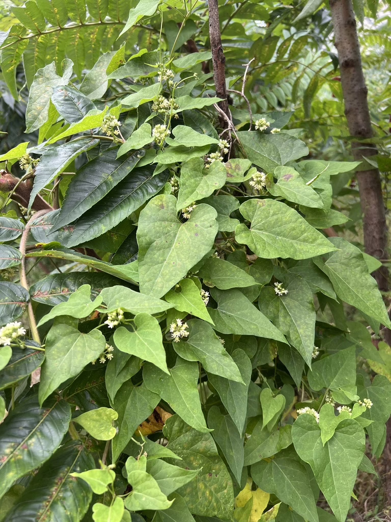 Photo Credit: Frederick Nunley