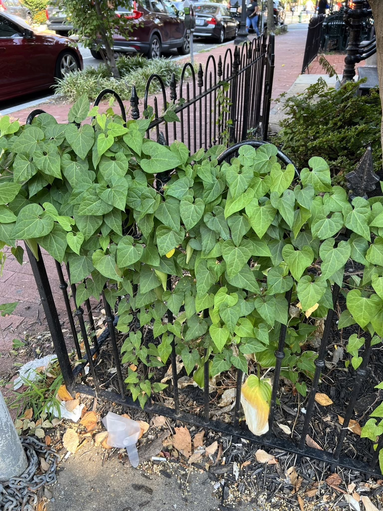 Photo Credit: Frederick Nunley