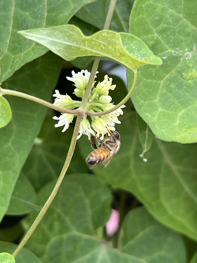 Photo Credit: Frederick Nunley