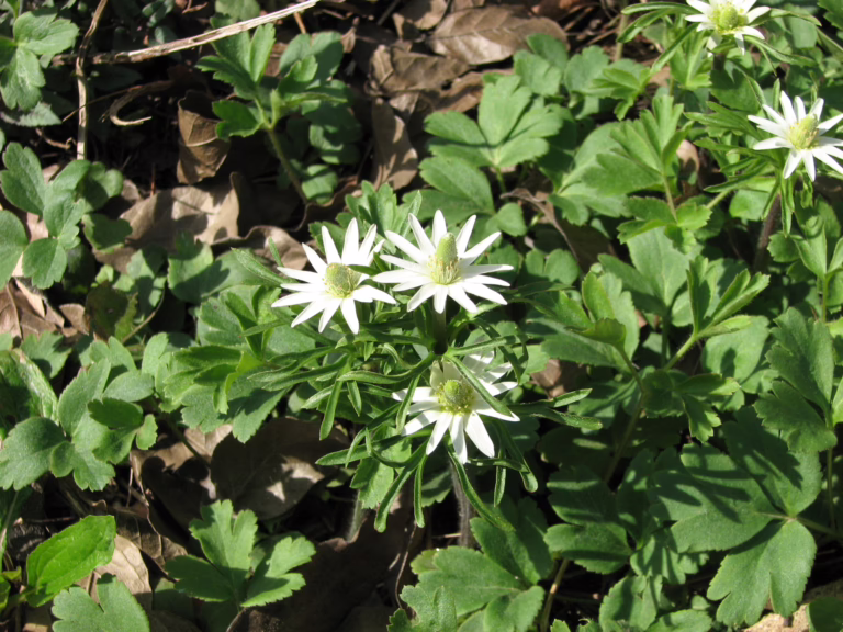 Photo Credit: Deedy Wright