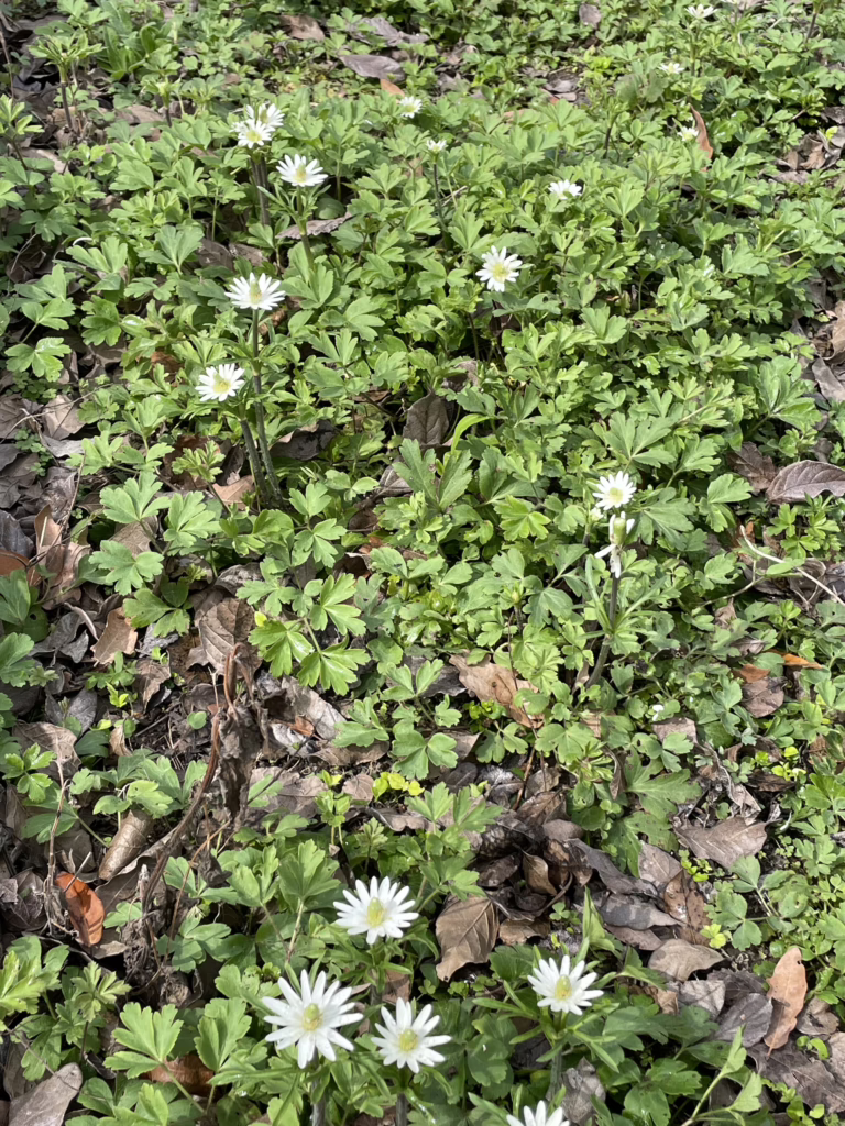 Photo Credit: Deedy Wright