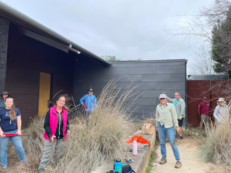 NPSOT San Antonio Work Day at Phil Hardberger Park