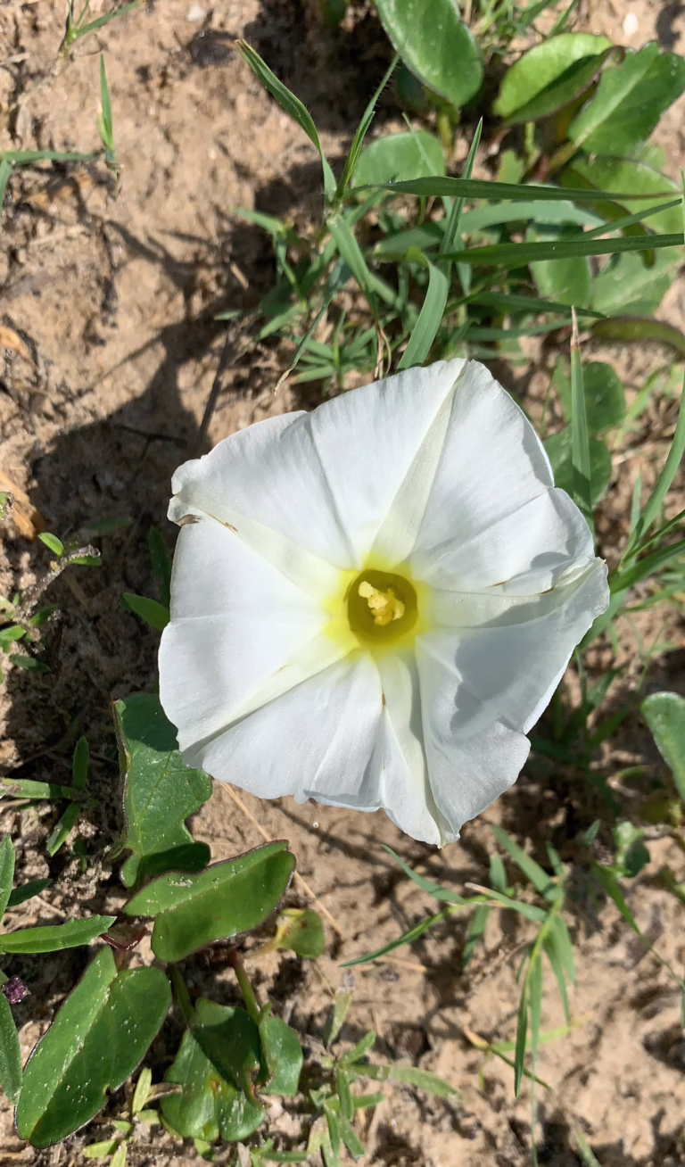 Photo Credit: Roberto Gaitan