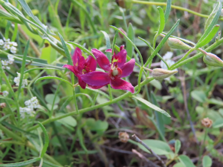 Photo Credit: Claire Sorenson