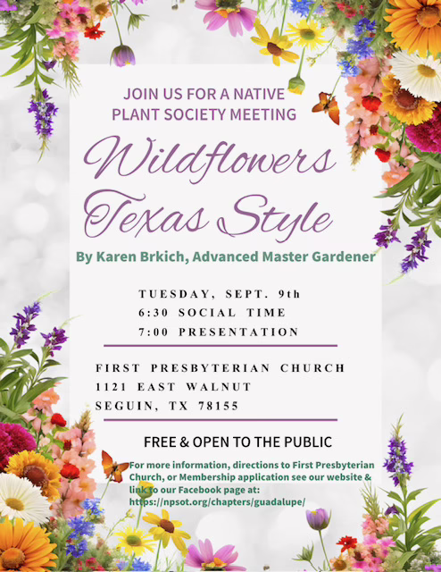 Wildflowers Texas Style