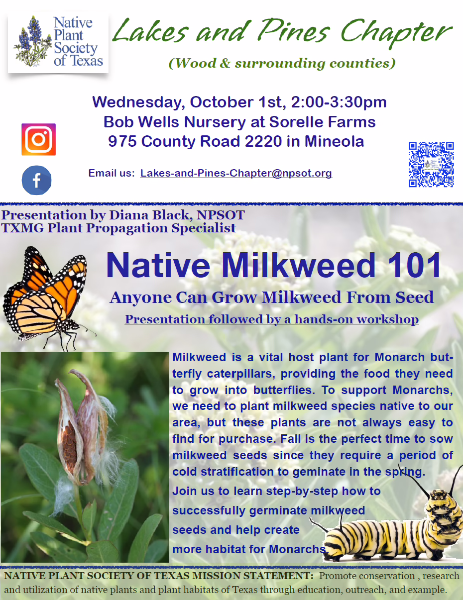Oct. 1 Lakes & Pines Chapter Meeting: “Milkweed 101 – Growing Milkweed From Seeds” presentation/workshop with Diana Black