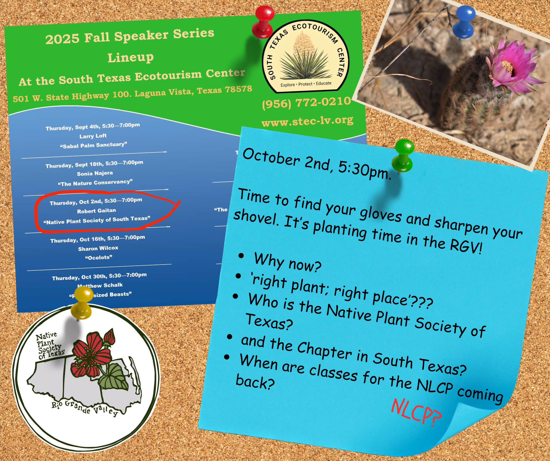 Meet the RGV Chapter – Native Plant Society of Texas