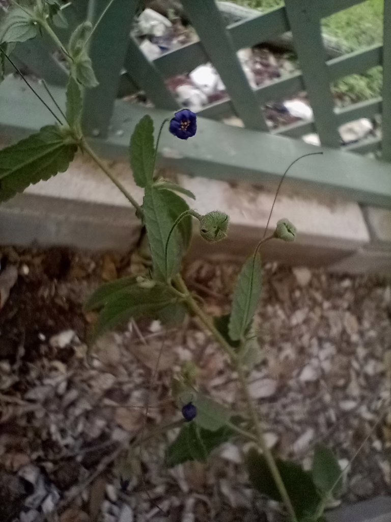 Photo credit:; Claire Sorenson