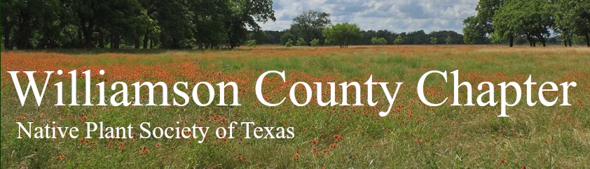 Williamson County Chapter