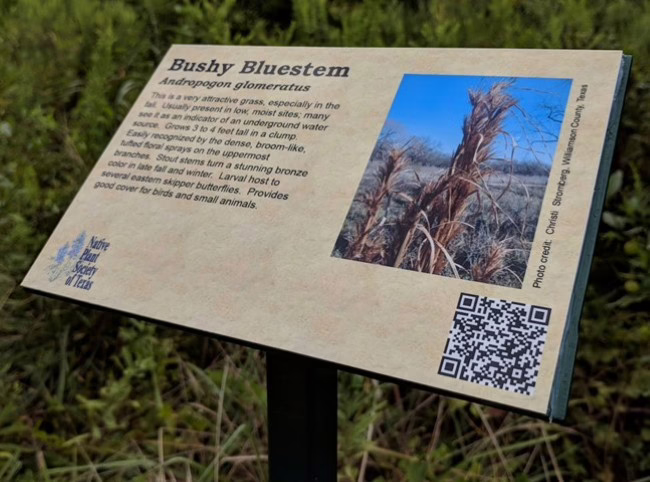 image of plant sign