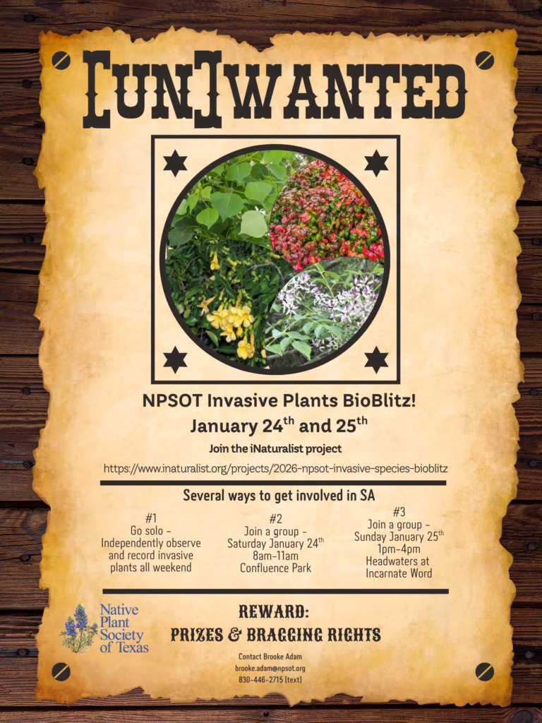 [UN]WANTED Invasive Plant Species BioBlitz