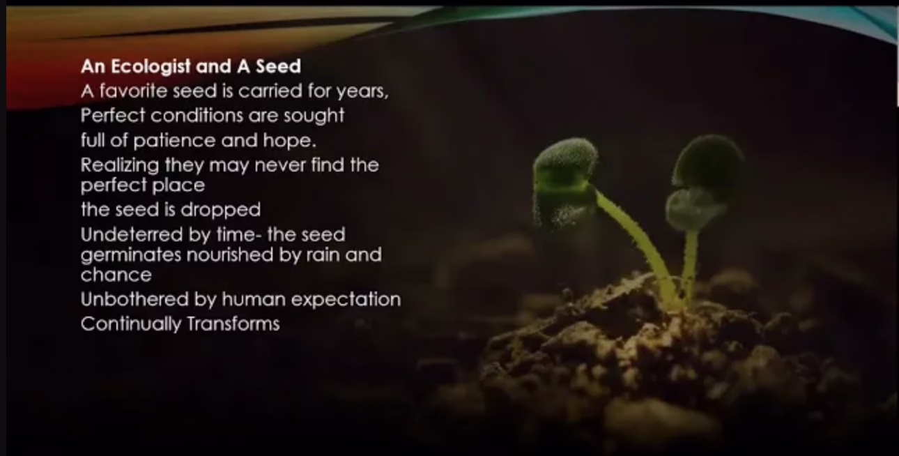 Rewilding Our Perception of What Belongs