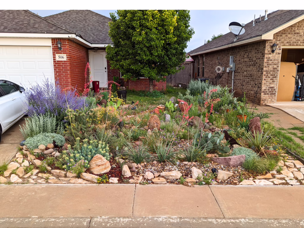 Shaun McCoshum’s Garden in Odessa