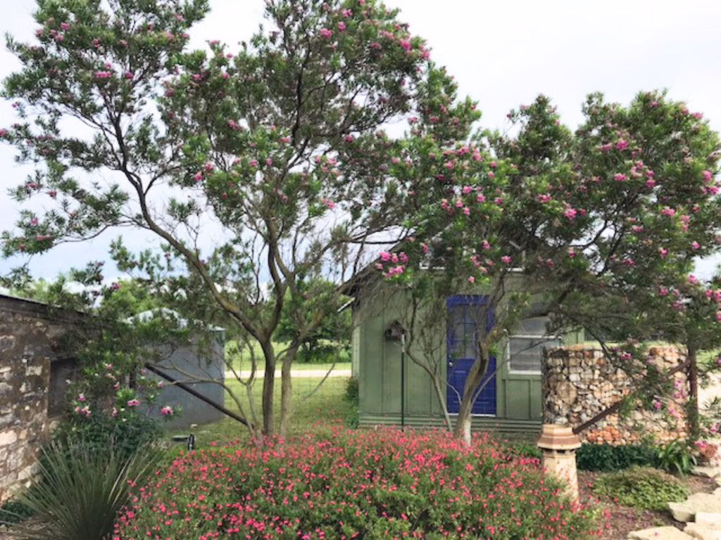 Paula Stone’s Garden in Fredericksburg