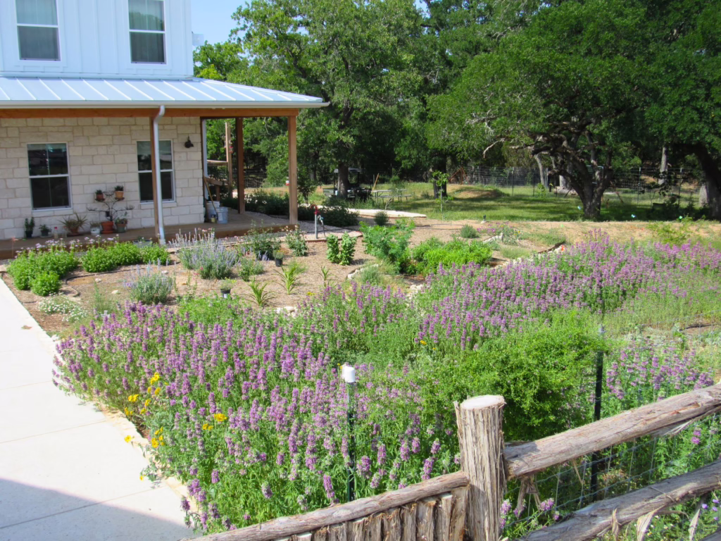 Kathy Saucier’s Garden in Fredericksburg
