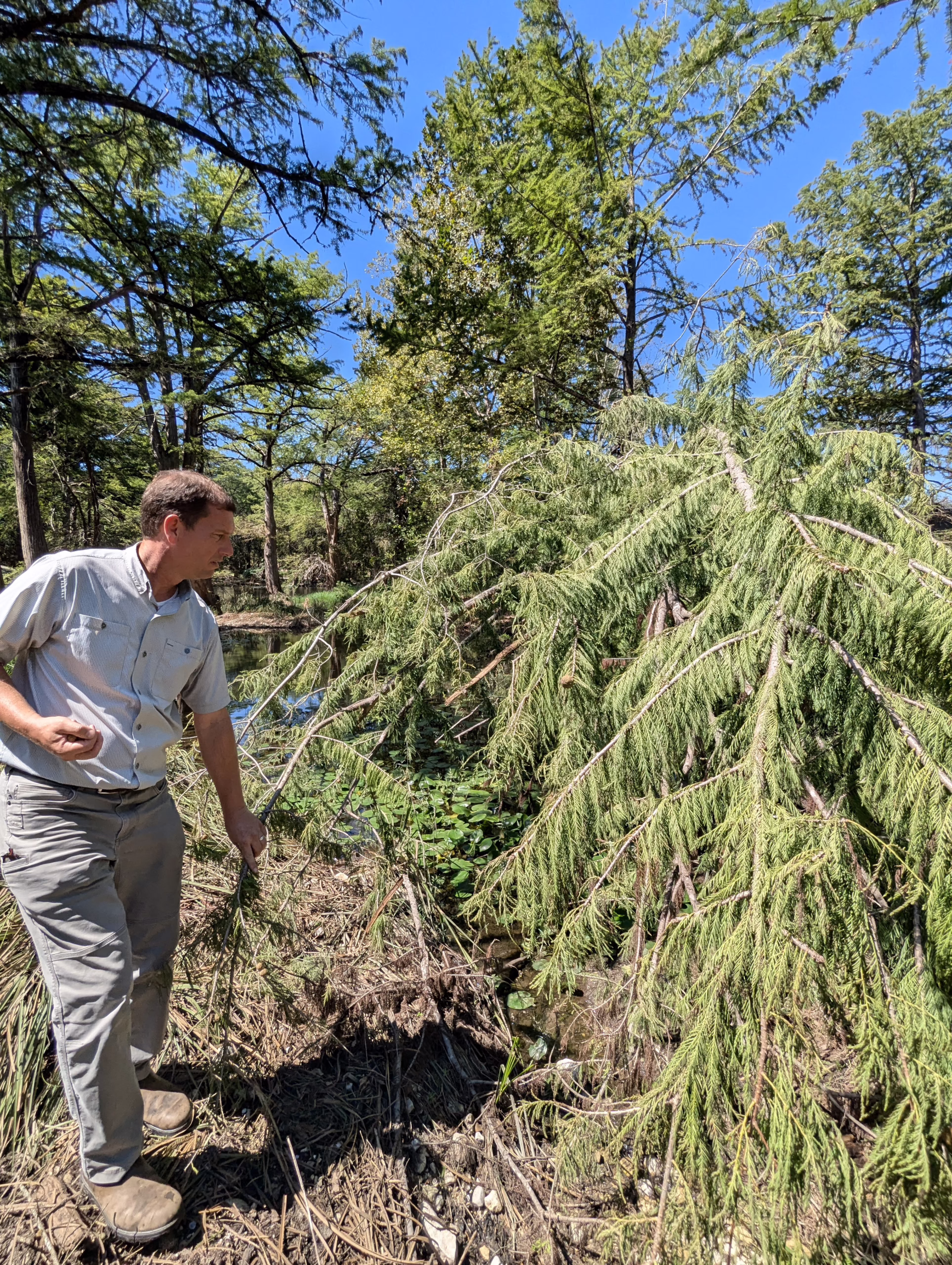 Andrew Labay Collecting Cones