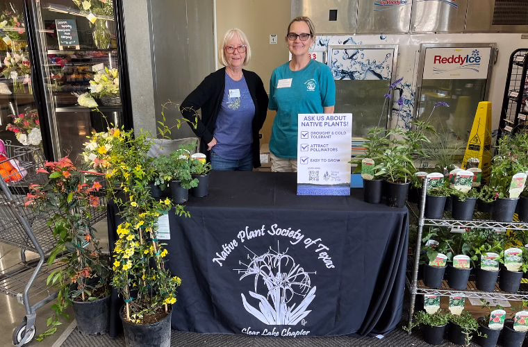 Two people standing behind a table framed by native plants in pots.