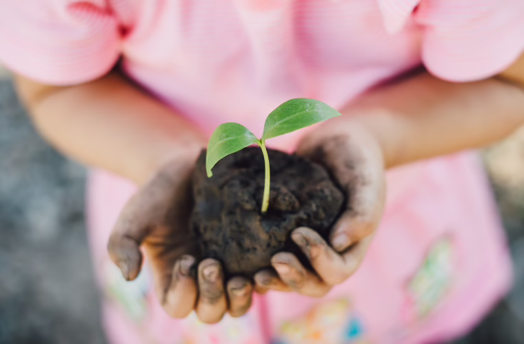 child holding a seedling in both hands