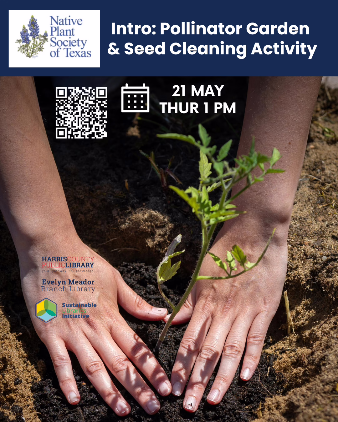 Promotional graphic featuring a closeup of hands planting a seedling. Text reads "Intro: Pollinator Garden and Seed Cleaning Activity, 21 May, Thursday, 1 p.m."