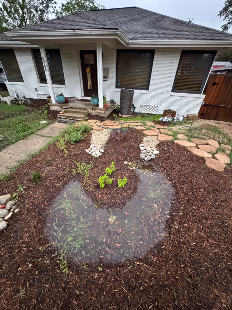 Rain Garden