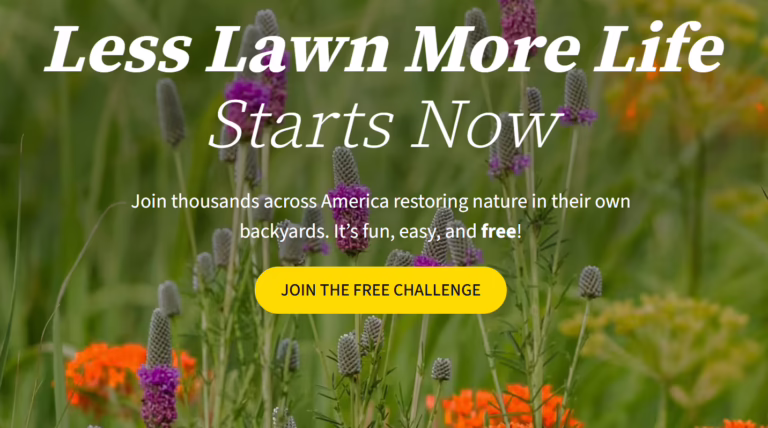 Less Lawn for More Life Campaign