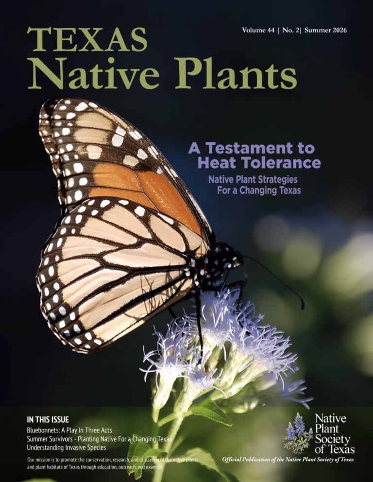 Summer 2026 Texas Native Plants magazine cover