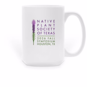 Mug 2